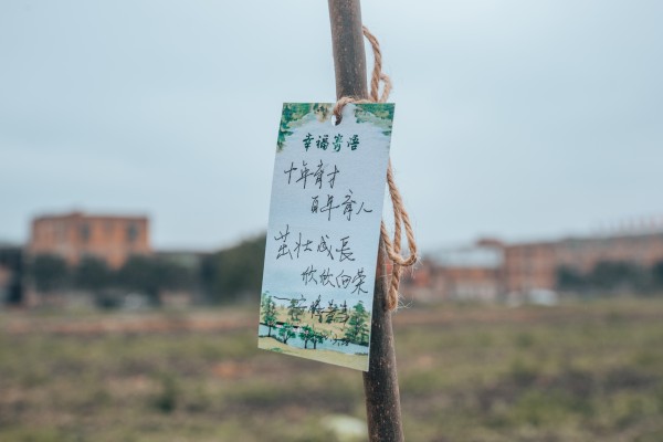 我们，植树去丨安植幸福，腾飞梦想！