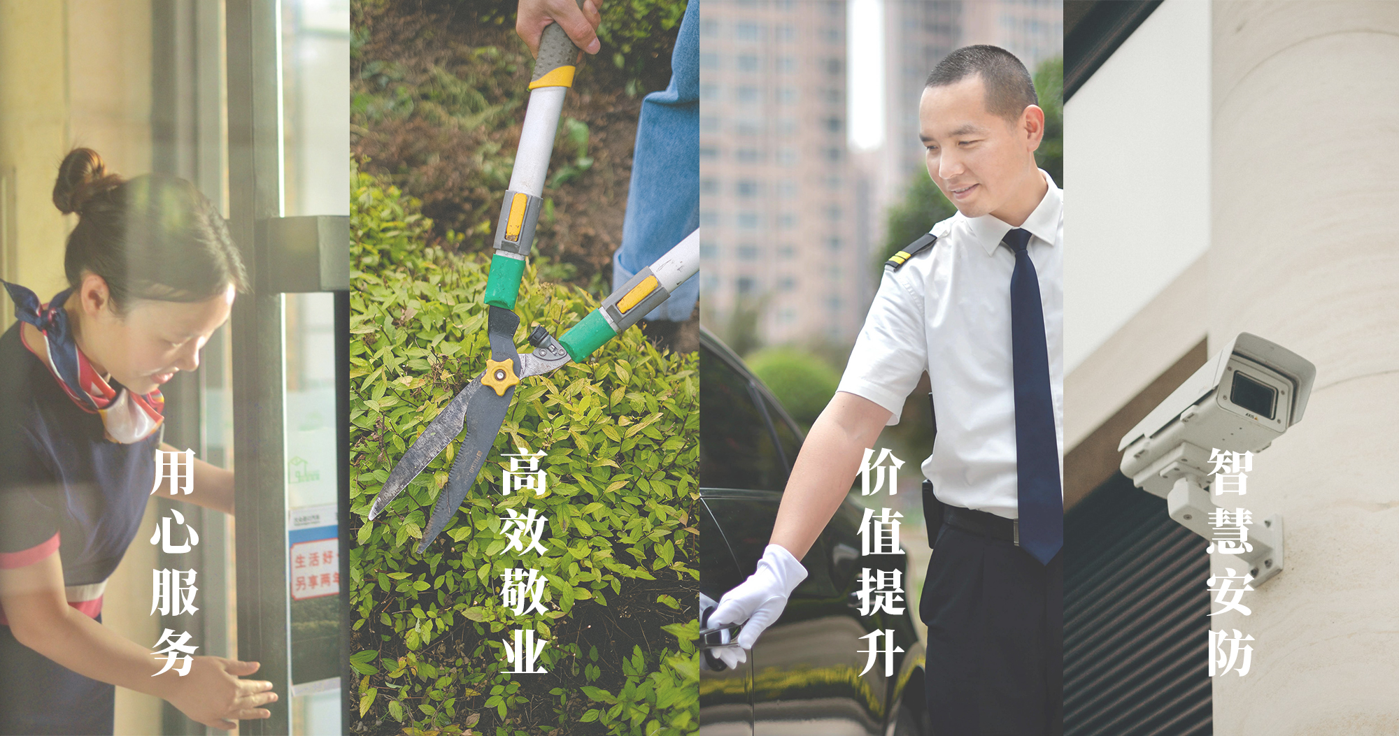 物业图.jpg